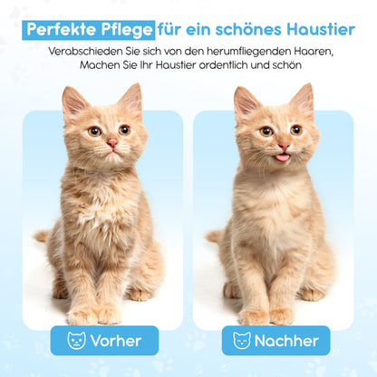 LINUMA® Fellbürste Blau